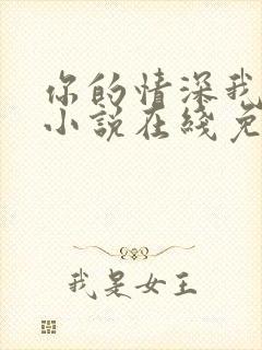 你的情深我不配小说在线免费阅读