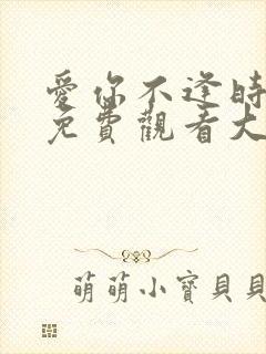 爱你不逢时短剧免费观看大结局