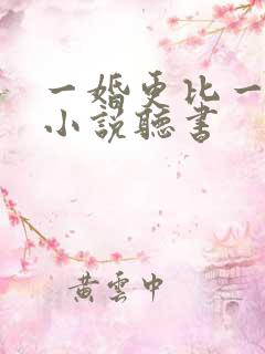 一婚更比一婚高小说听书