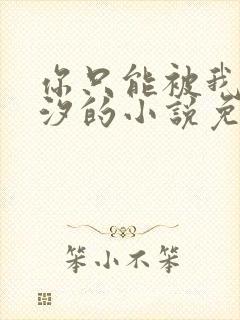 你只能被我溪夕汐的小说免费阅读