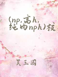(np,高h,纯肉nph)校园