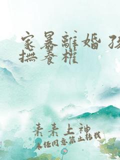 家暴离婚 孩子抚养权