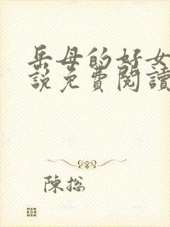 岳母的好女婿小说免费阅读