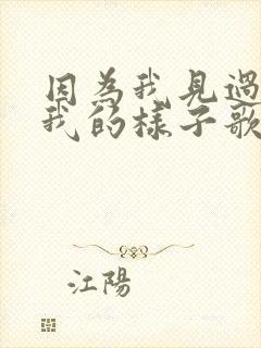 因为我见过你爱我的样子歌词