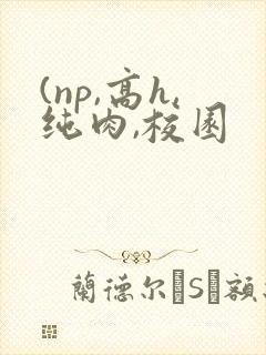 (np,高h,纯肉,校园