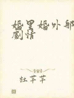 婚里婚外那些事剧情