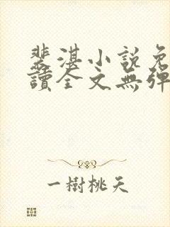 裴湛小说免费阅读全文无弹窗