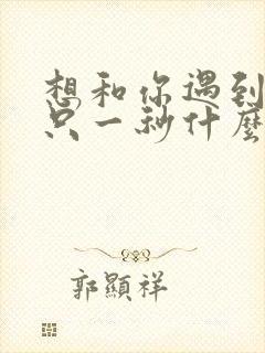 想和你遇到哪怕只一秒什么歌