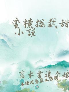 蛮横总裁甜宠妻 小说