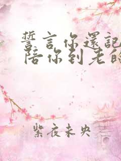 誓言你还记得吗 陪你到老的人什么歌