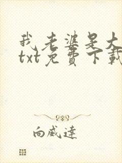我老婆是大明星txt免费下载