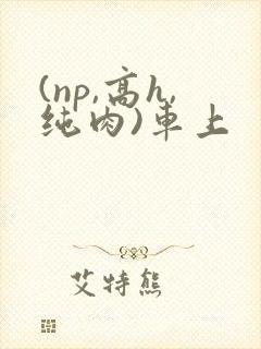 (np,高h,纯肉)车上