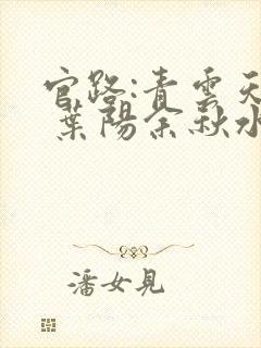 官路:青云天骄 叶阳余秋水