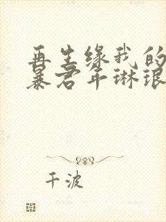 再生缘我的温柔暴君年琳琅