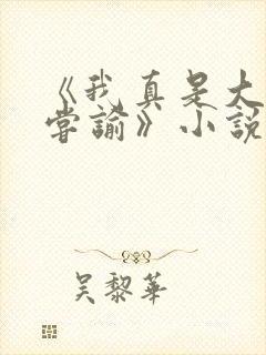 《我真是大明星尝谕》小说