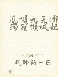 凤倾九天:邪王独宠倾城妃