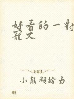 好看的一对一甜宠文