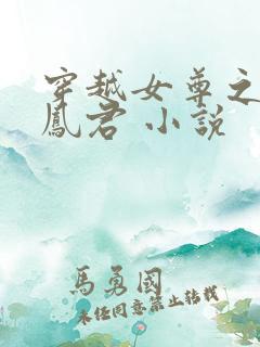 穿越女尊之吾为凤君 小说