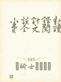 小说针锋对决免费全文阅读一