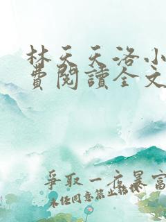 林天天洛小说免费阅读全文