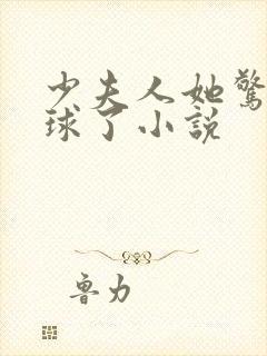 少夫人她惊艳全球了小说