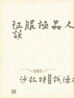 征服极品人妻小说