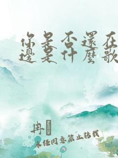 你是否还在我身边是什么歌