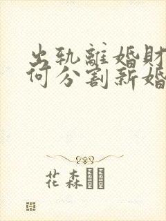 出轨离婚财产如何分割新婚姻法2025