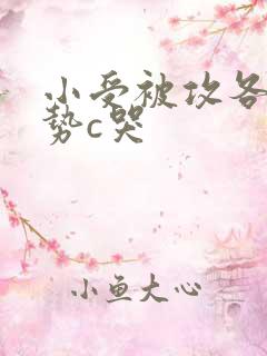 小受被攻各种姿势c哭