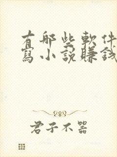 有哪些软件可以写小说赚钱