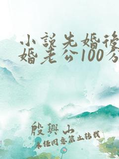 小说先婚后爱闪婚老公100分最新章节