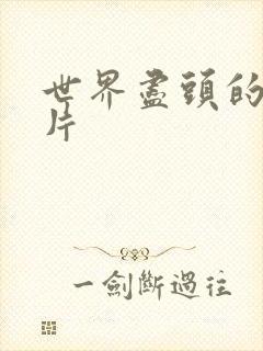 世界尽头的爱原片