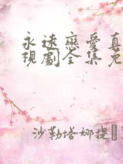 永远恋爱真美电视剧全集免费观看