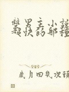 双男主小说车速超快的那种