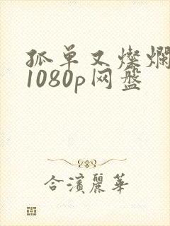 孤单又灿烂的神1080p网盘