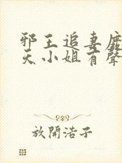 邪王追妻废材逆天小姐有声书