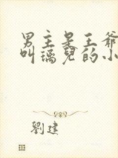 男主是王爷女主叫璃儿的小说