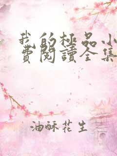 我的极品小姨免费阅读全集