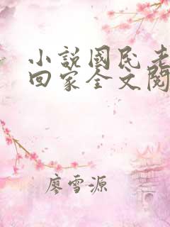 小说国民老公带回家全文阅读