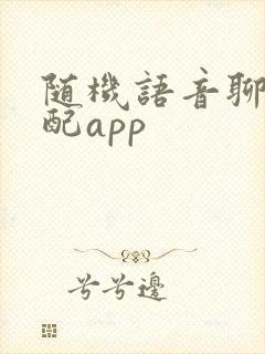 随机语音聊天匹配app