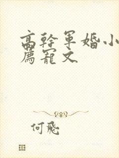 高干军婚小说推荐宠文