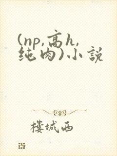 (np,高h,纯肉)小说