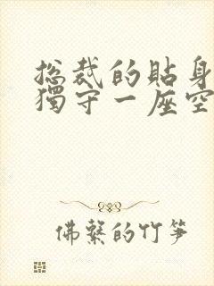 总裁的贴身兵王独守一座空城