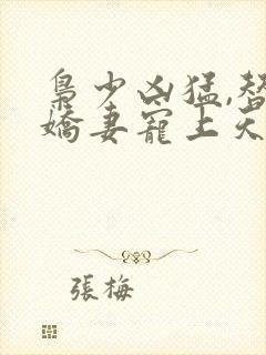 枭少凶猛,替嫁娇妻宠上天