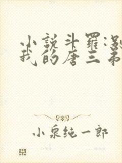 小说斗罗:别动我的唐三弟弟下载