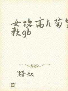 女攻高h菊哭调教gb