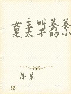 女主叫蓁蓁男主是太子的小说