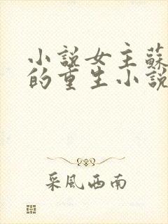 小说女主苏清宁的重生小说