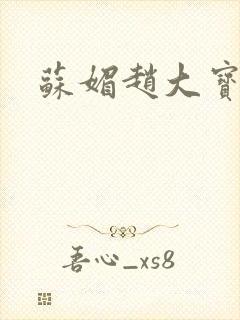 苏媚赵大宝赵勇