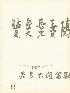 贴身兵王俏总裁夏天免费阅读